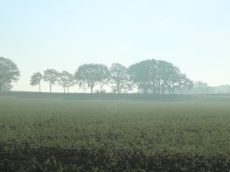 Vatertag 2021